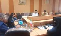 رویکردی نوین در بازخوانی و تحلیل سیرخطی قصه یونس نبی در قرآن کریم